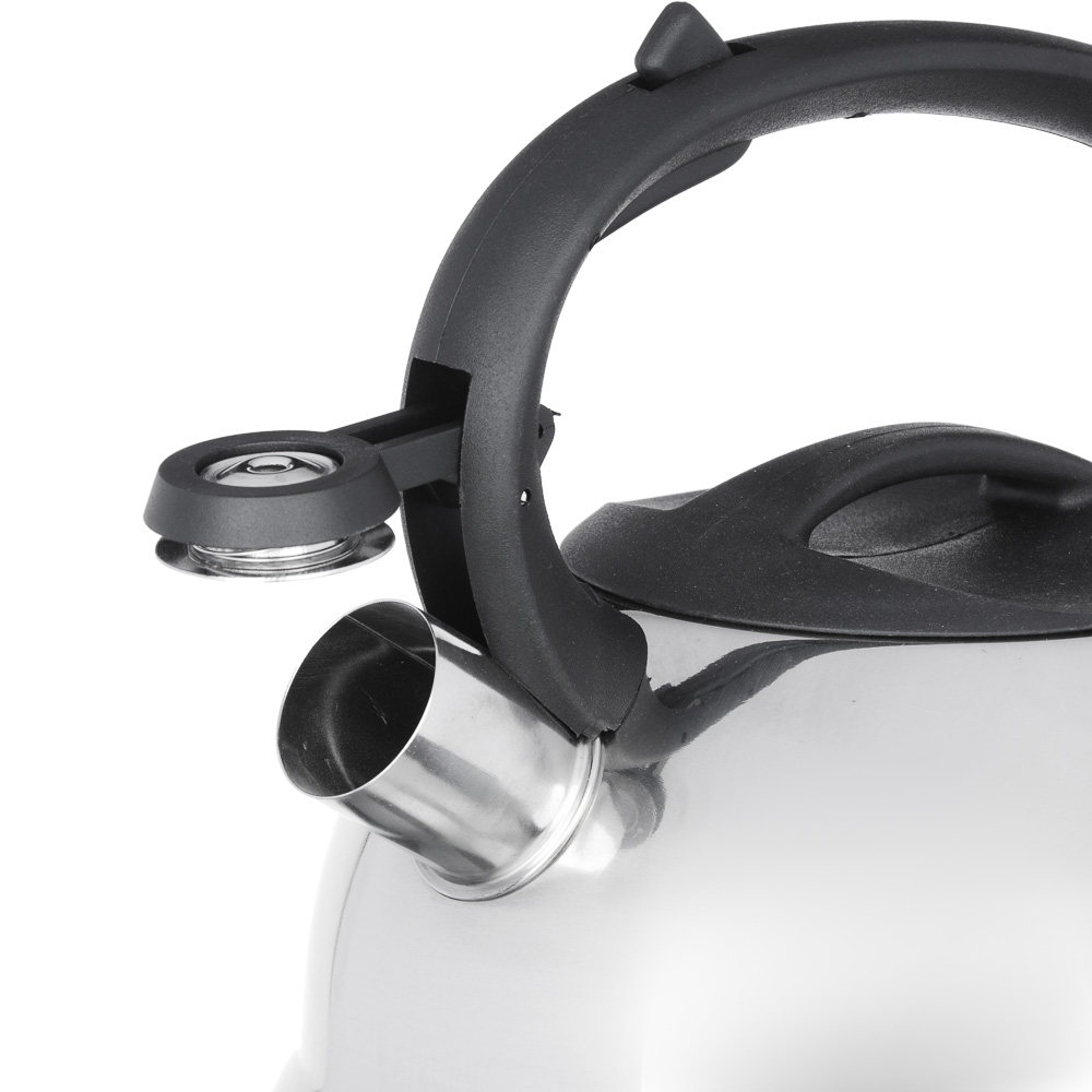 Чайник стальной 2.5л "Корсика" индукция, арт.№ 847-056