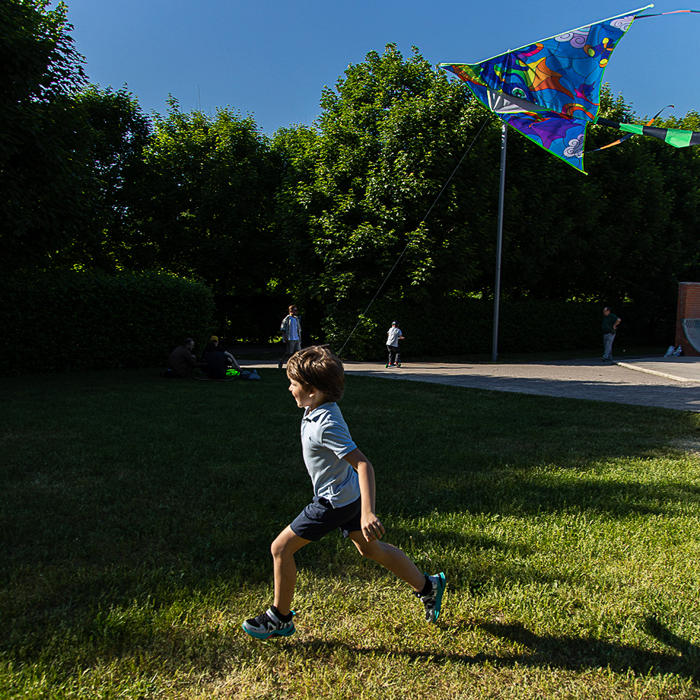 SILAPRO Воздушный змей "Мозаика", 1.6м, нейлон, арт.№ 134-083