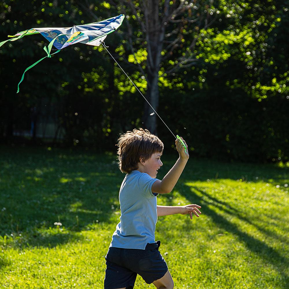 SILAPRO Воздушный змей "Животные" 80см, нейлон, арт.№ 134-084