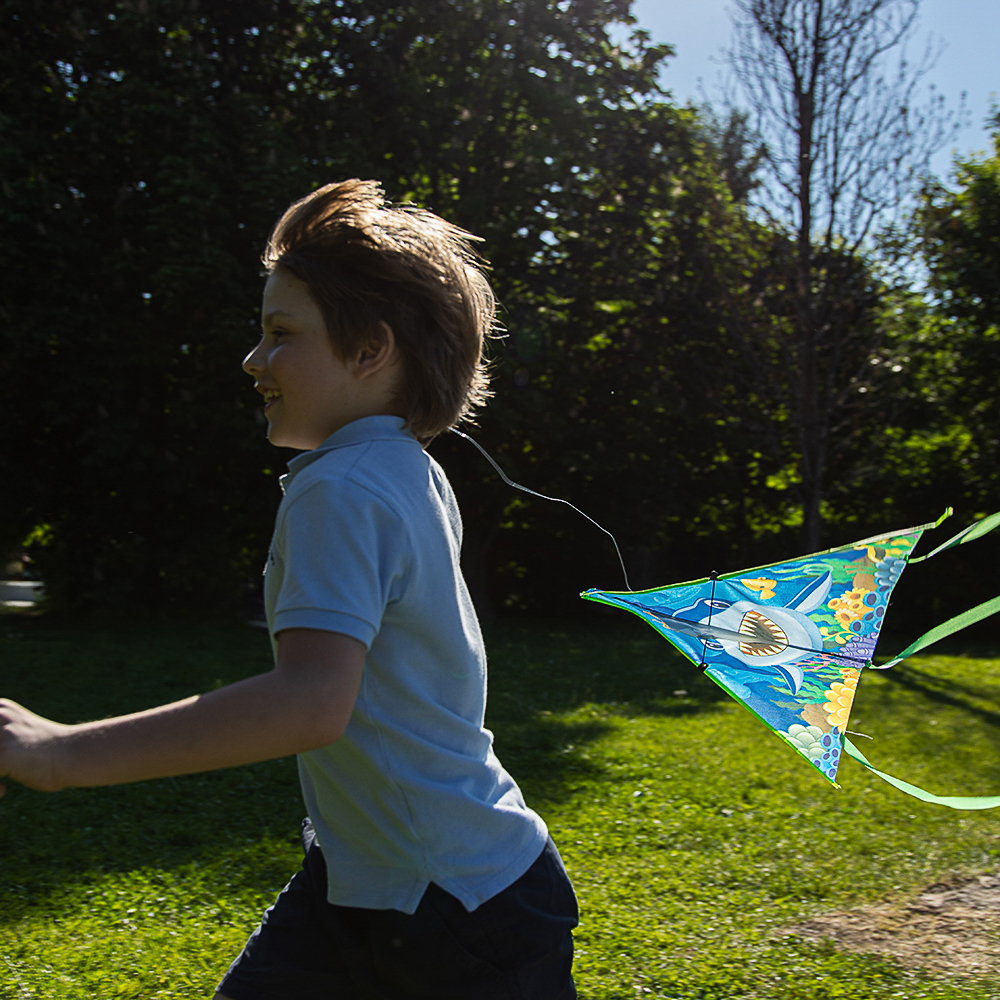 SILAPRO Воздушный змей "Животные" 80см, нейлон, арт.№ 134-084