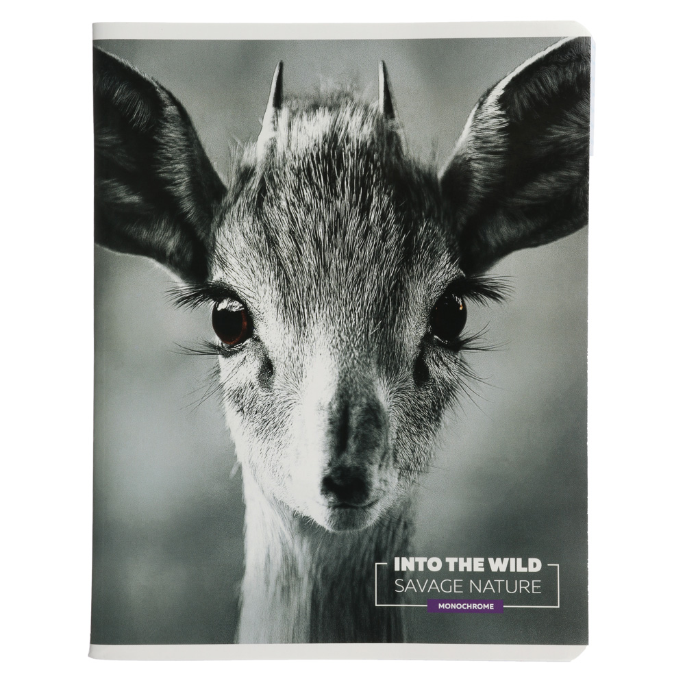 Тетрадь 96л. в клетку ПРЕМИУМ, офсет, обл.картон, скрепка, "Микс", эфефкты, 10141/5, JW42/5, 9734/5, арт.№ 578-019