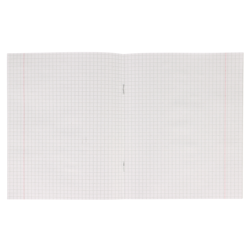 Тетрадь школьная 12л. в клетку, БЕЛЫЕ ЛИСТЫ обложка плотный офсет 115 гр "Пятерка", арт.№ 579-031