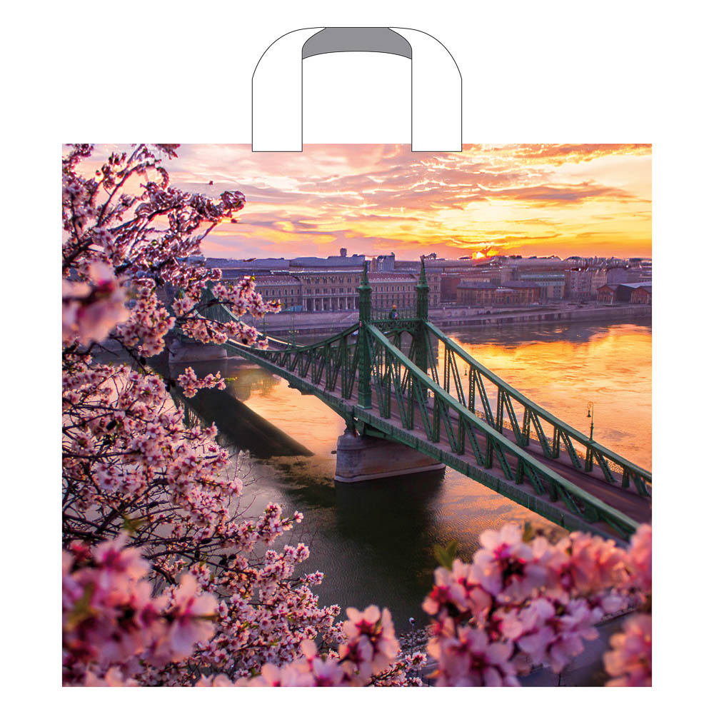 Пакет ПЭ с петлевой ручкой 38x34+3см (70) в ассортименте, арт.№ 568-290