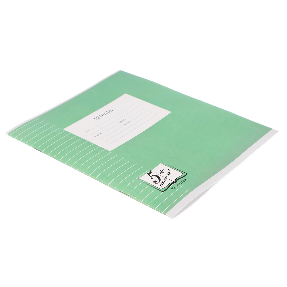 Тетрадь школьная 12л. в линейку, БЕЛЫЕ ЛИСТЫ обложка плотный офсет 115 гр "Пятерка", арт.№ 579-032
