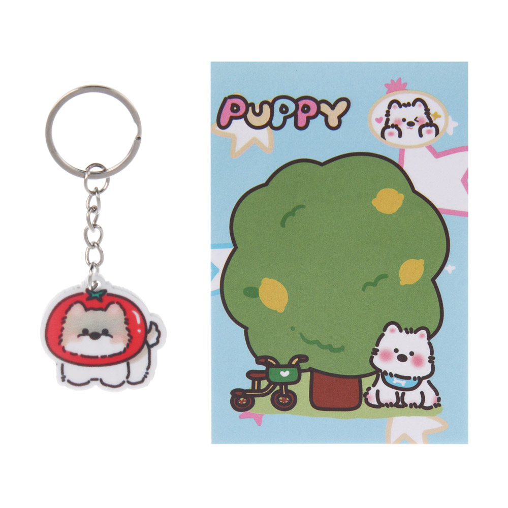 Игрушка сюрприз "Брелок и блокнот", ИГРОЛЕНД, акрил, бумага, металл, 11х12см, 6-12 дизайнов, арт.№ 295-311