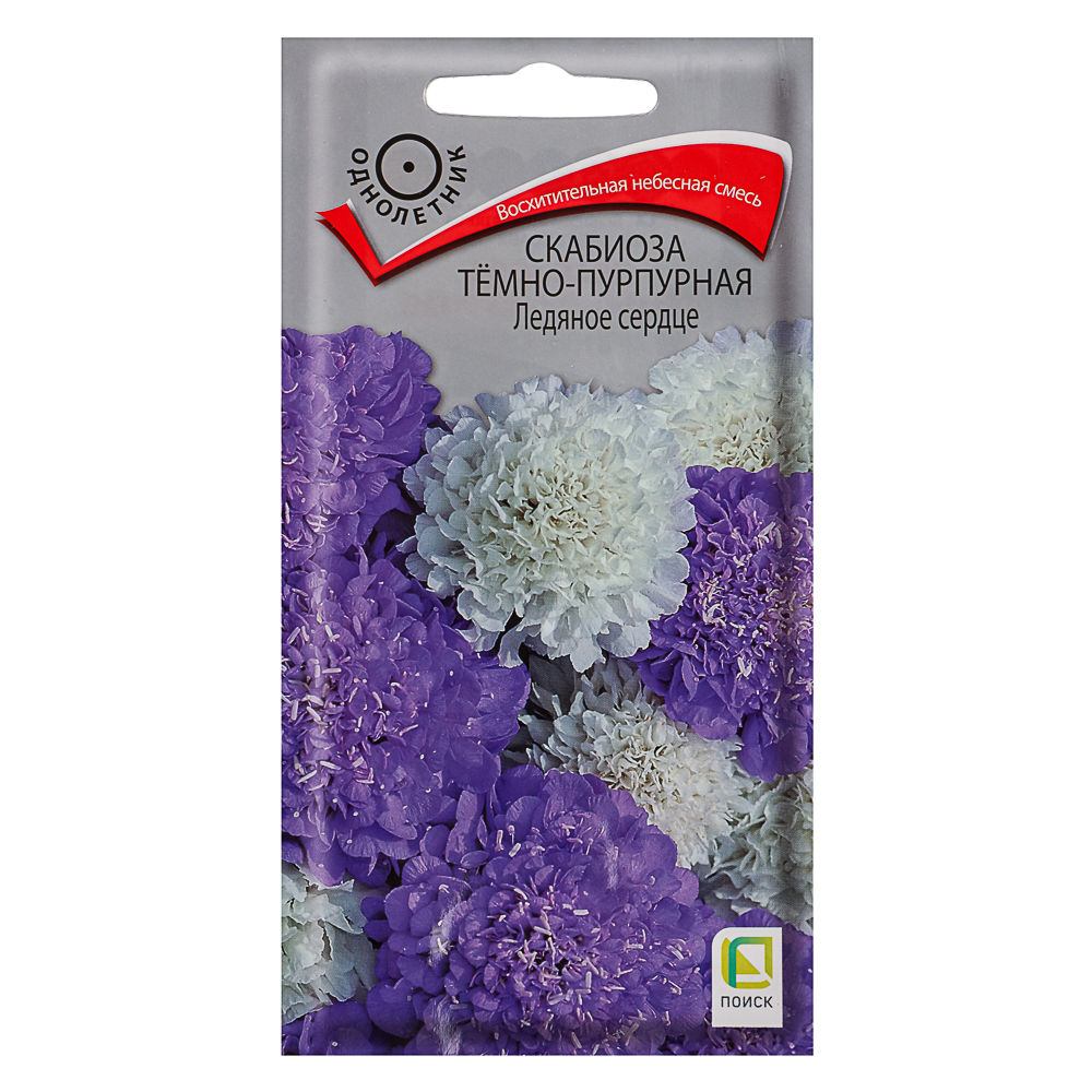 Семена Скабиоза темно-пурпурная Ледяное сердце 10шт ЦП, арт.№ 179-591