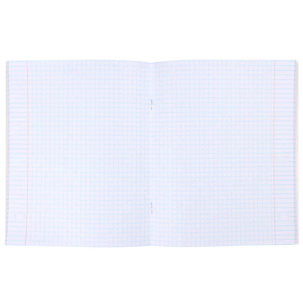 Тетрадь общая 48л. в клетку, офсет, обл. импортный картон, скрепка, “Аниме 2”, УФ лак, арт.№ 578-132