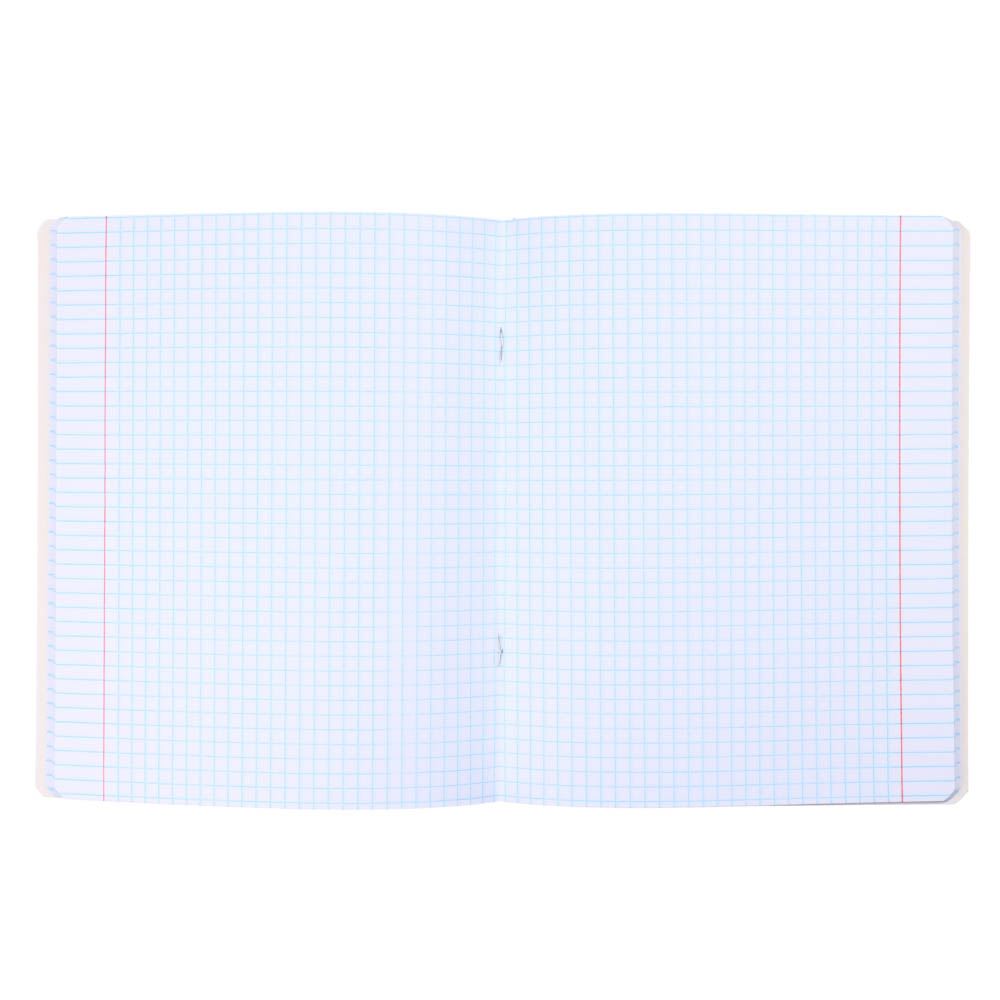 Тетрадь 48л. "Предметная", офсет, обл.картон, скрепка, 7видов, мат.лам,"Граффити",со справочным мат., арт.№ 578-106