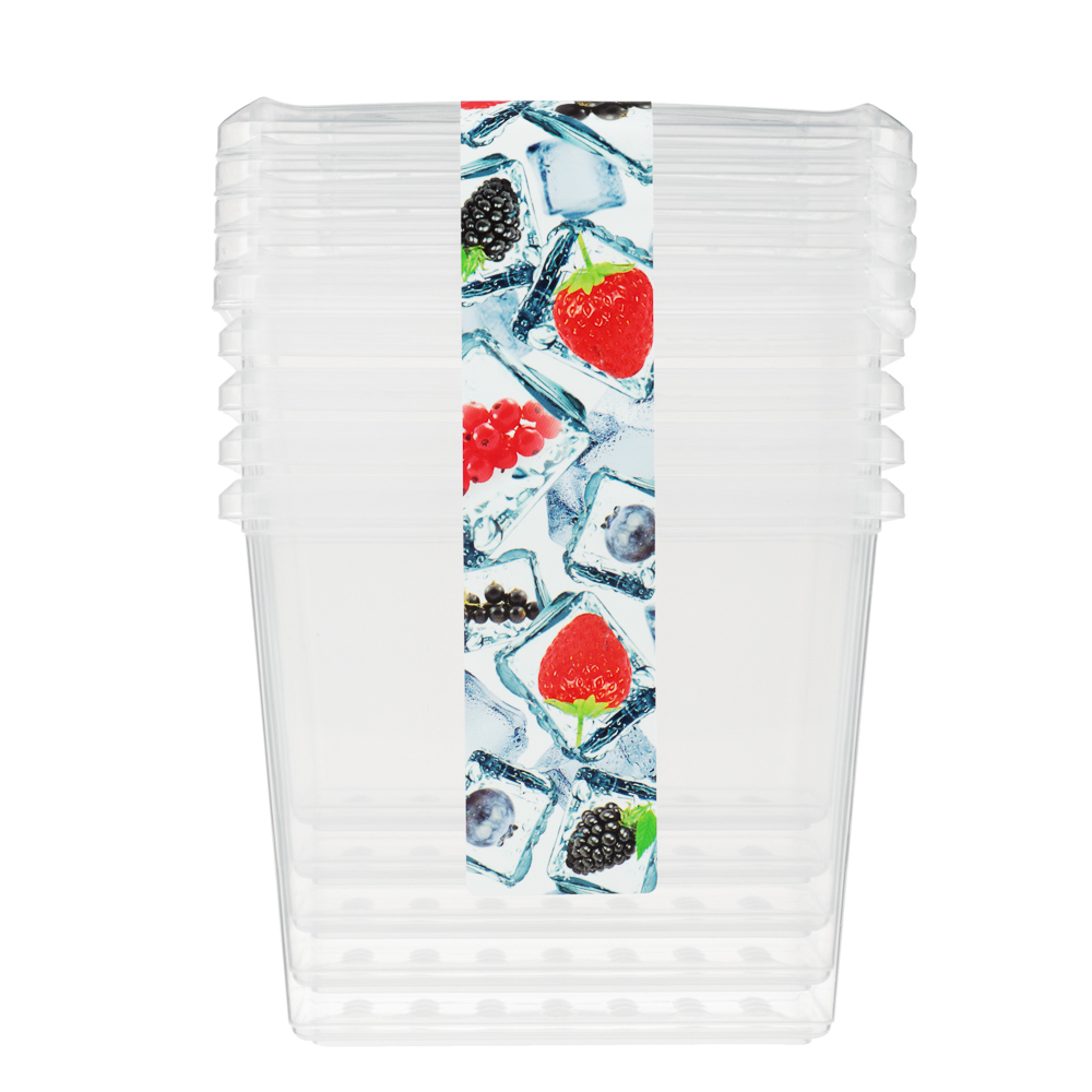 Набор контейнеров для заморозки 1л 5шт, пластик, арт.№ 861-300