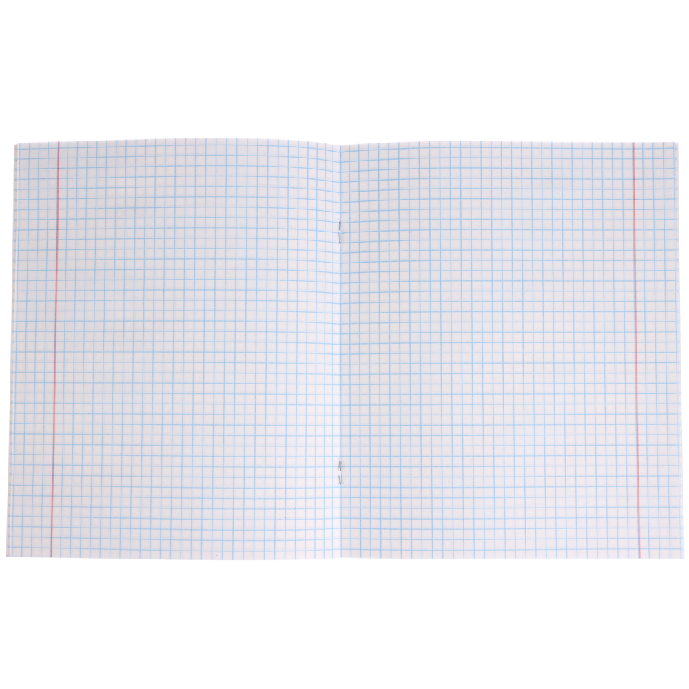 Тетрадь школьная 24 листа в клетку BY Русские Супергерои, БЕЛЫЕ ЛИСТЫ, обложка пластик, скрепка, "Джуниор", 4 дизайна, арт.№ 801-030