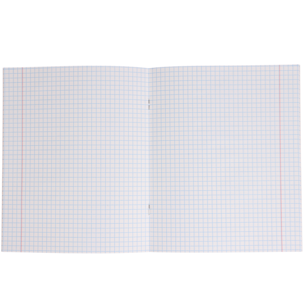 Тетрадь школьная 24 листа в клетку BY Русские Супергерои, БЕЛЫЕ ЛИСТЫ, обложка пластик, скрепка, "Джуниор", 4 дизайна, арт.№ 801-030