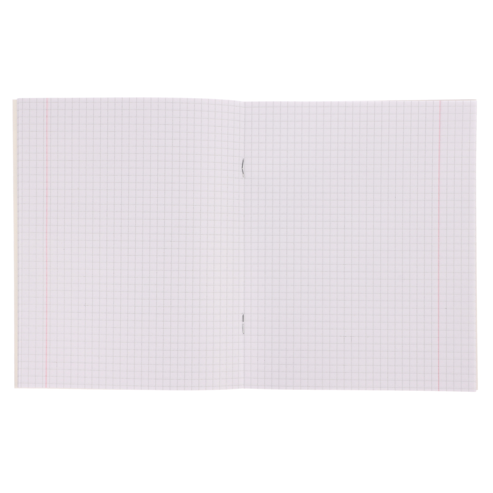 Тетрадь школьная 18л. в клетку, БЕЛЫЕ ЛИСТЫ, обл. картон 190г/м2, "Панда" 4 диз., арт.№ 579-036