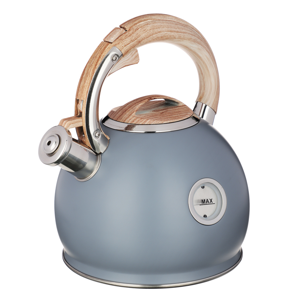 VETTA Чайник стальной 3,0л "Бертран", индукция, арт.№ 847-107