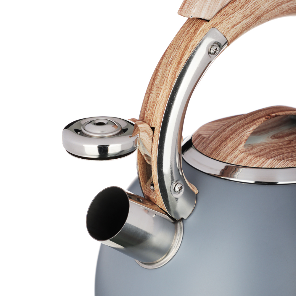 VETTA Чайник стальной 3,0л "Бертран", индукция, арт.№ 847-107