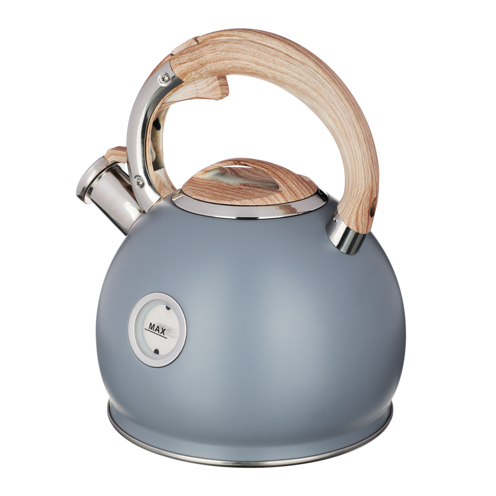 VETTA Чайник стальной 3,0л "Бертран", индукция, арт.№ 847-107