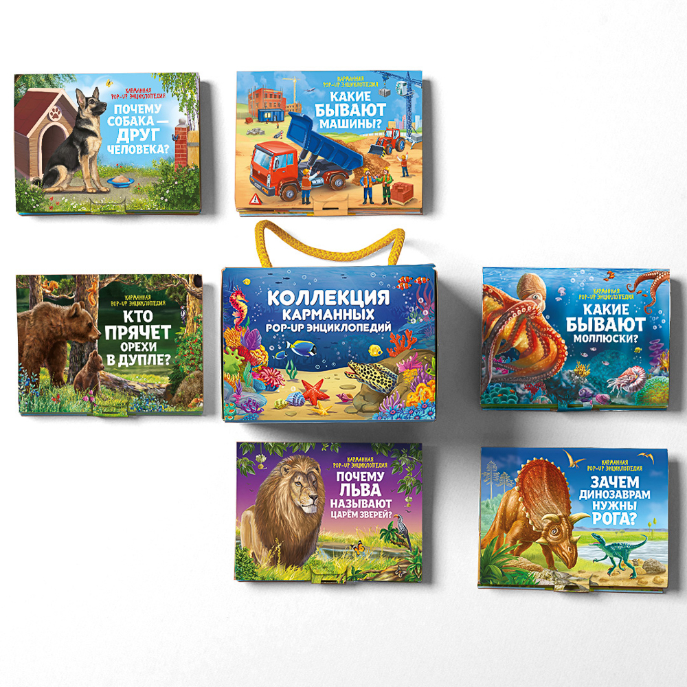 Набор 6 книг "Карманная POP-UP энциклопедия, 12х8,5х8,5 см, картон, 10 стр., 2 дизайна, арт.№ 857-171