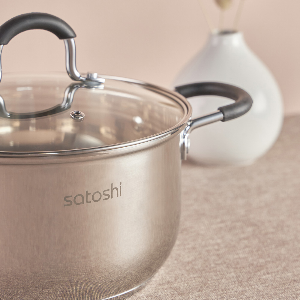 SATOSHI Альбер Кастрюля 20х11,5см, 3,4л, со стекл. крышкой, индукция, арт.№ 822-214