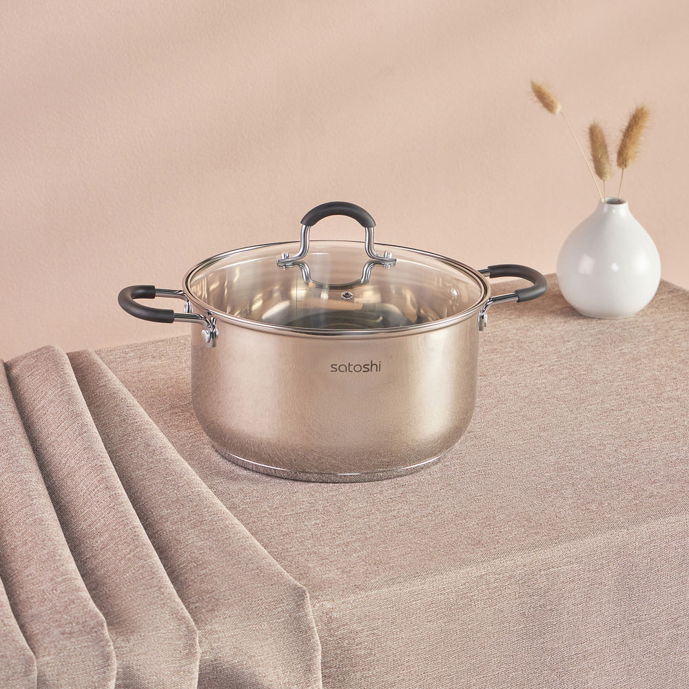 SATOSHI Альбер Кастрюля 24х13,5см, 5,9л, со стекл. крышкой, индукция, арт.№ 822-215