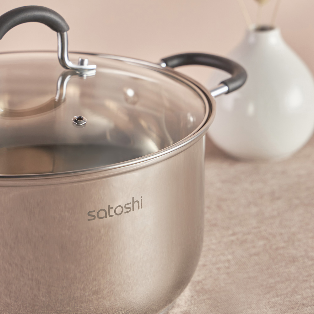SATOSHI Альбер Кастрюля 24х13,5см, 5,9л, со стекл. крышкой, индукция, арт.№ 822-215