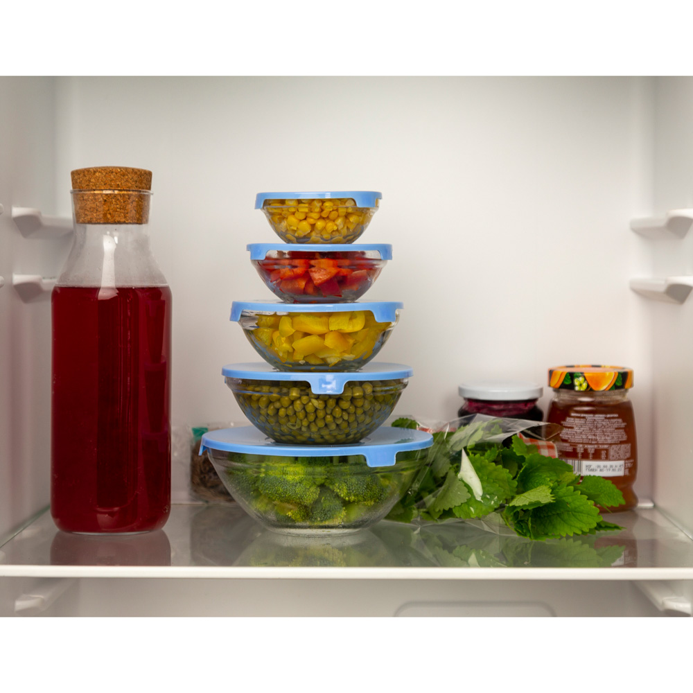 Набор контейнеров с крышкой 5шт (140мл, 210мл, 350мл, 450мл, 850мл), стекло, полипропилен, арт.№ 828-170