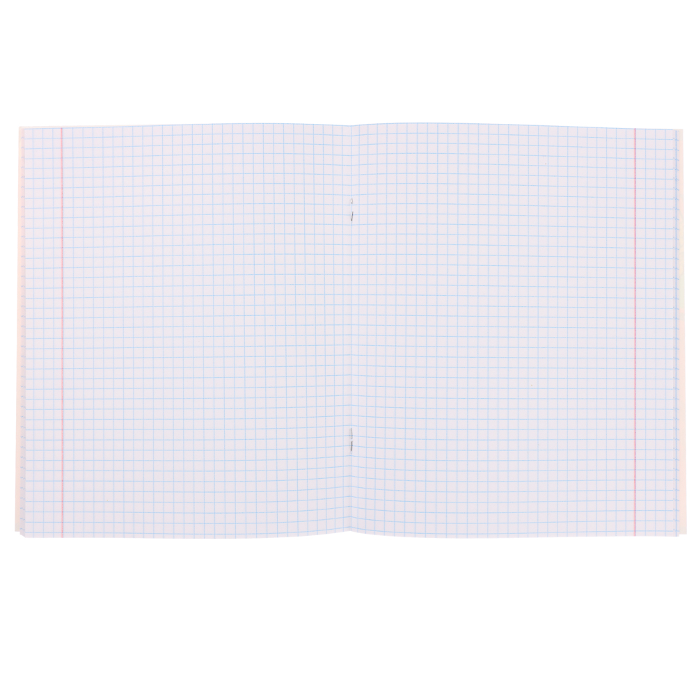 BY Русские Супергерои Тетрадь 48л. в клетку, обл.картон, белые листы, скрепка, гологр.пленка, 4диз., арт.№ 801-039