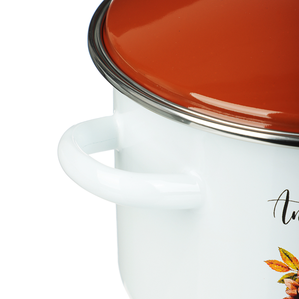 Осенняя романтика Кастрюля эмалированная 3 л, арт.№ 894-014