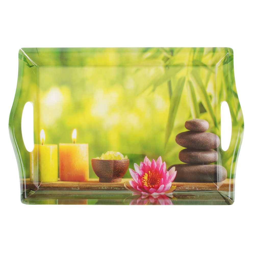 VETTA Тропики Поднос, пластик, 35х25х3,8см, арт.№ 862-395