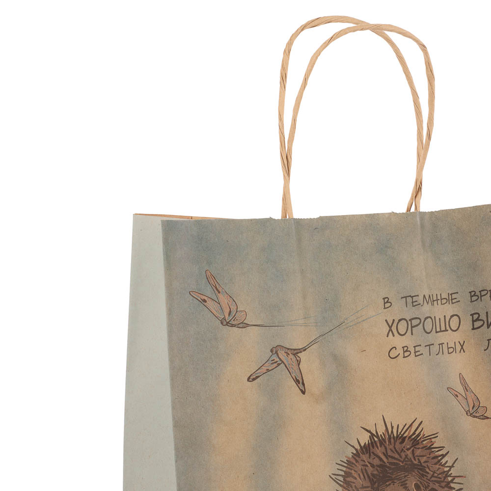 Пакет подарочный с кручеными ручками L 24х14х30см, "Ёжик в тумане", в ассортименте, арт.№ 507-491