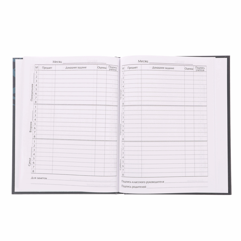 Дневник школьный, "Панда/Капибара", 40 листов, твердая обложка 7БЦ, выборочный лак, арт.№ 524-254