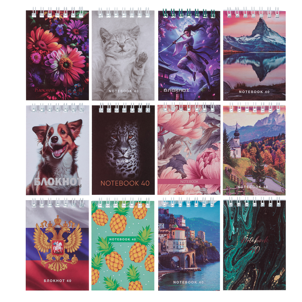 ClipStudio Блокнот А7 40 листов, офсет, обложка картон, спираль, в клетку, арт.№ 524-188