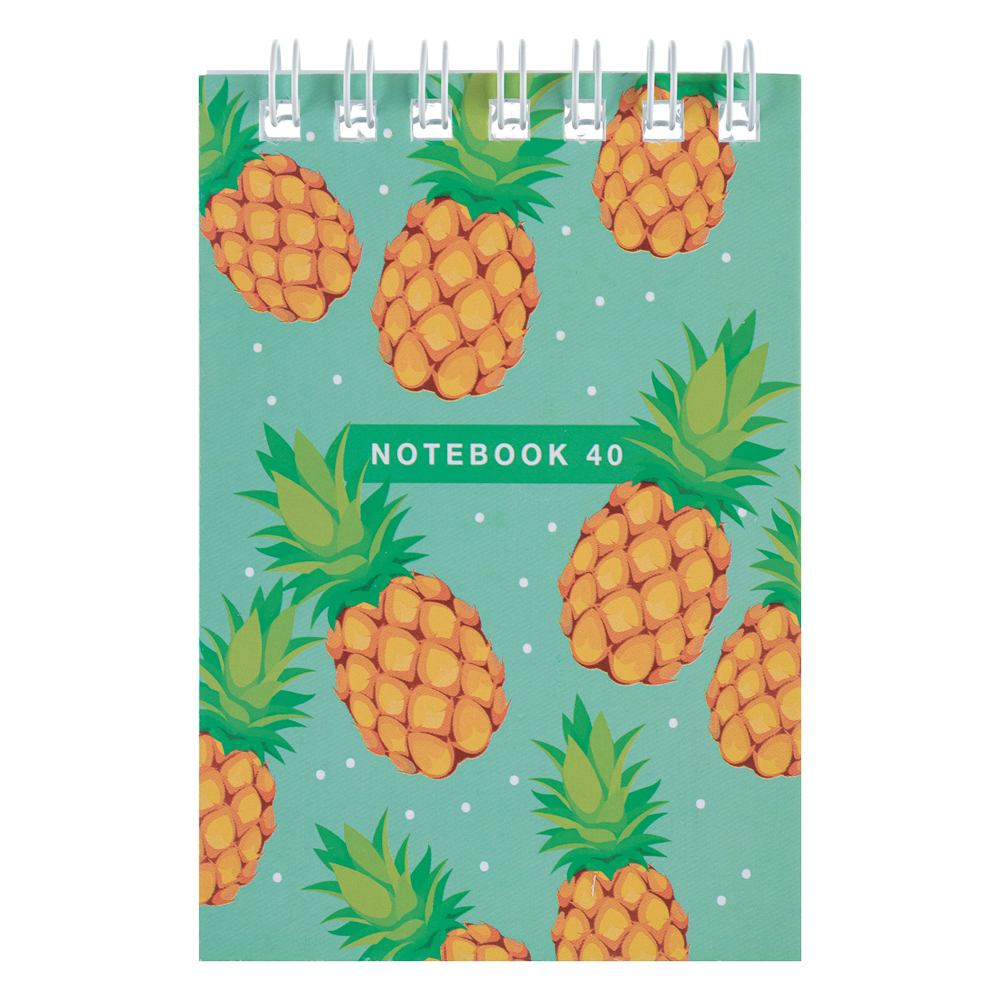 ClipStudio Блокнот А7 40 листов, офсет, обложка картон, спираль, в клетку, арт.№ 524-188