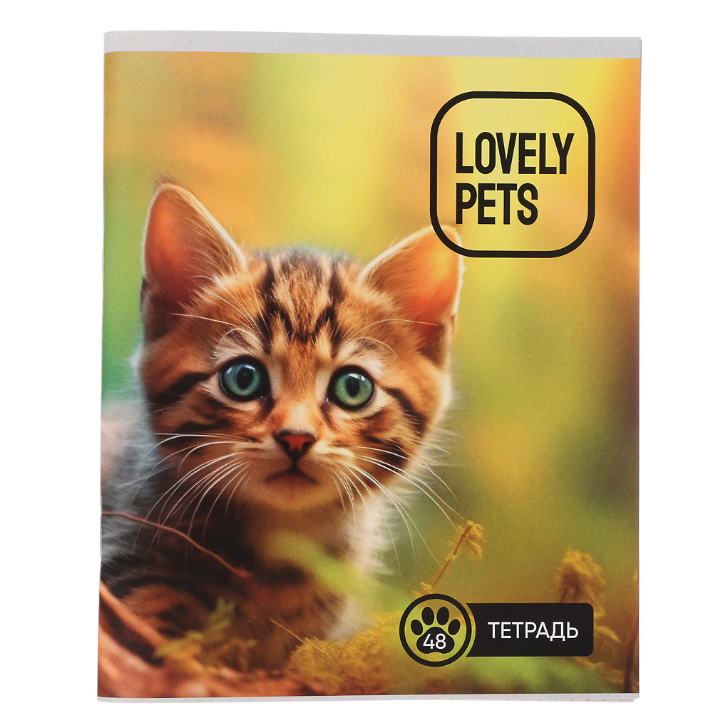 Тетрадь 48 л. ClipStudioв А5, в клетку, блок №2, обложка ватман 120 г/м2, скрепка, арт.№ 524-190