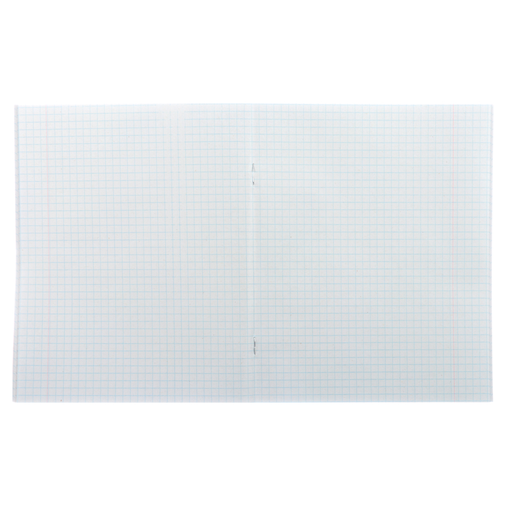 Тетрадь 48 л. ClipStudioв А5, в клетку, блок №2, обложка ватман 120 г/м2, скрепка, арт.№ 524-190