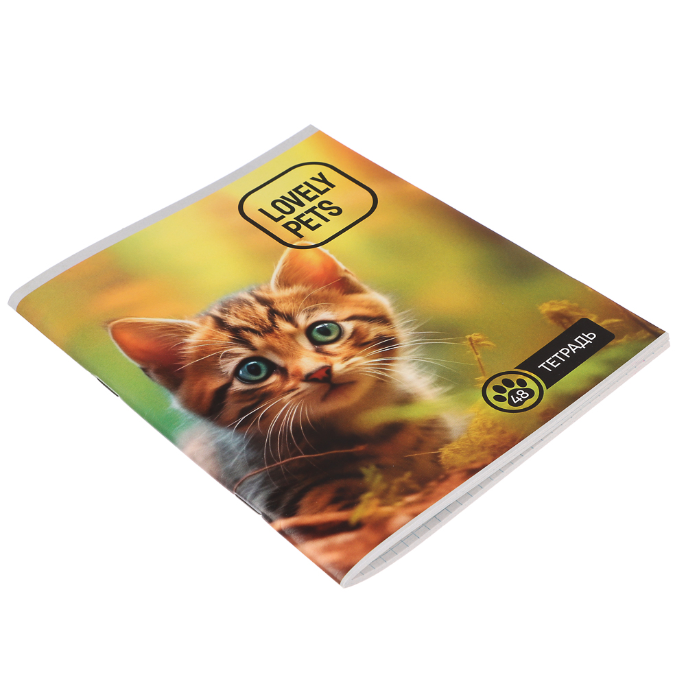 Тетрадь 48 л. ClipStudioв А5, в клетку, блок №2, обложка ватман 120 г/м2, скрепка, арт.№ 524-190