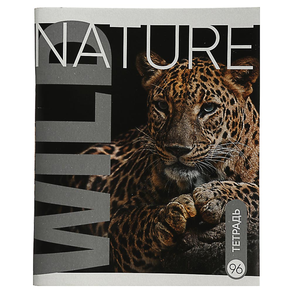 ClipStudio Тетрадь общая, 96 листов, в клетку, блок №2, обложка - картон, скрепка, 8 дизайнов, арт.№ 524-192