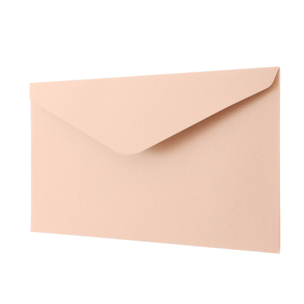 Набор конвертов 10 шт, микс цветов, 8х16,5см, бумага, арт.1, арт.№ 521-148