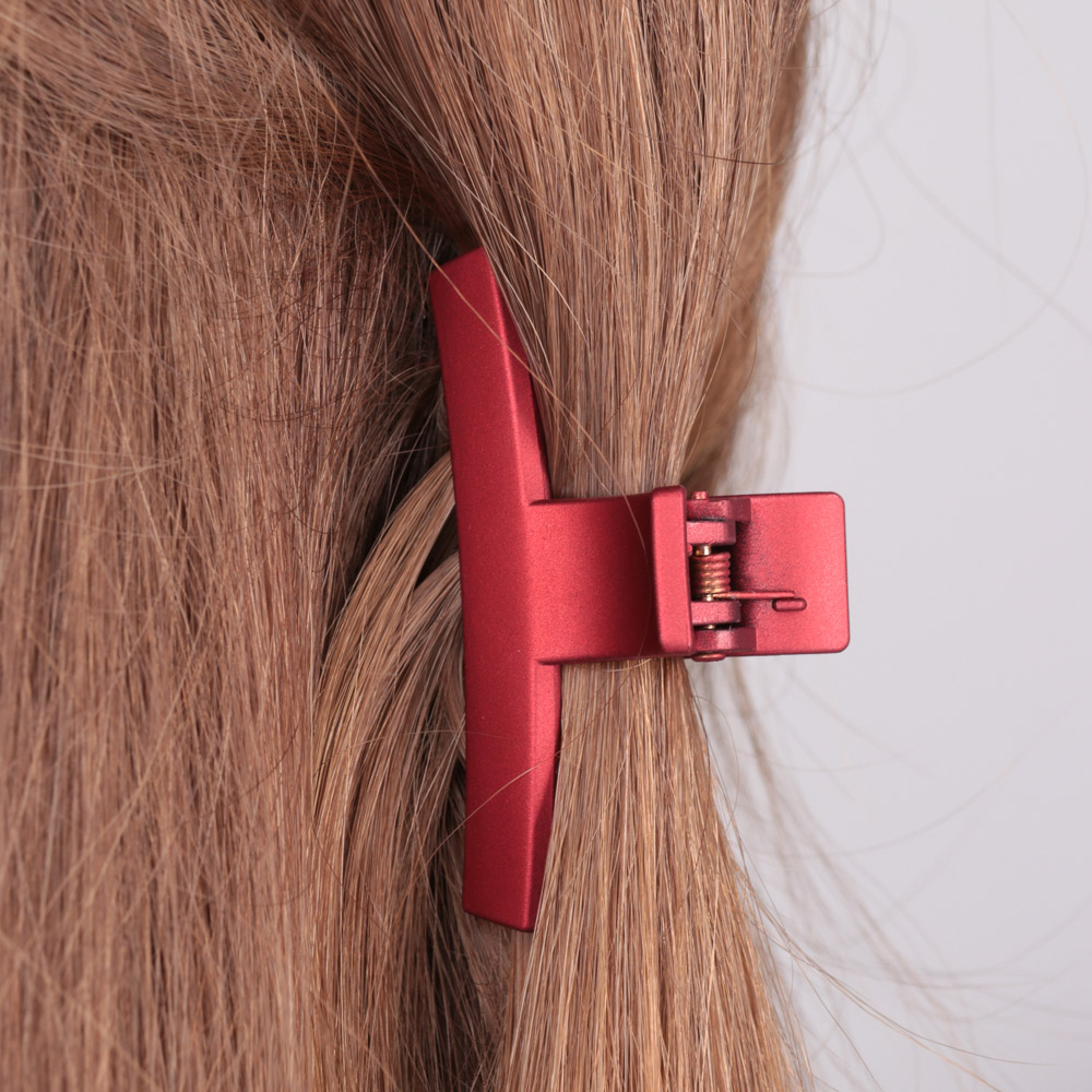 BERIOTTI Краб для волос, металл, пластик, 6см, 2 дизайна, 4426-5, арт.№ 324-112