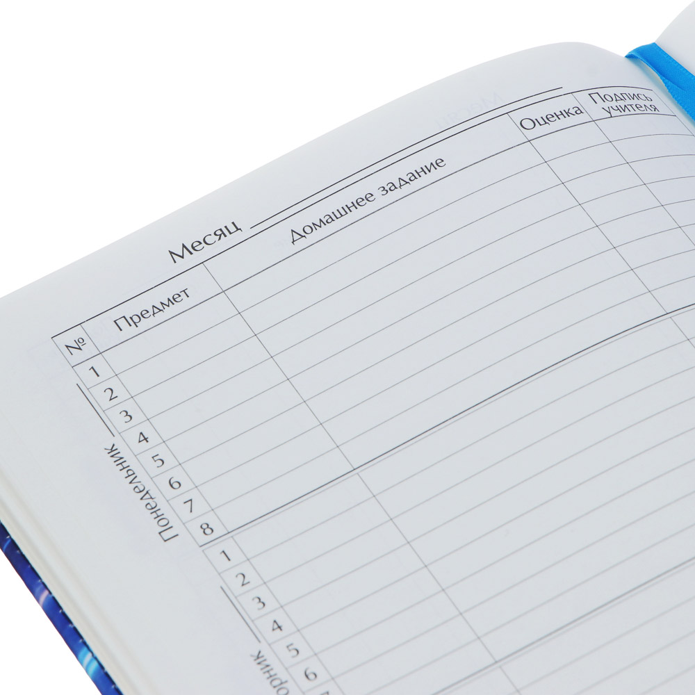 Дневник шк., А5+ (20,8*16,5см), 48л., "Капибара", тв.обл.с поролоном, иск.кожа с печатью, закладка, арт.№ 564-071