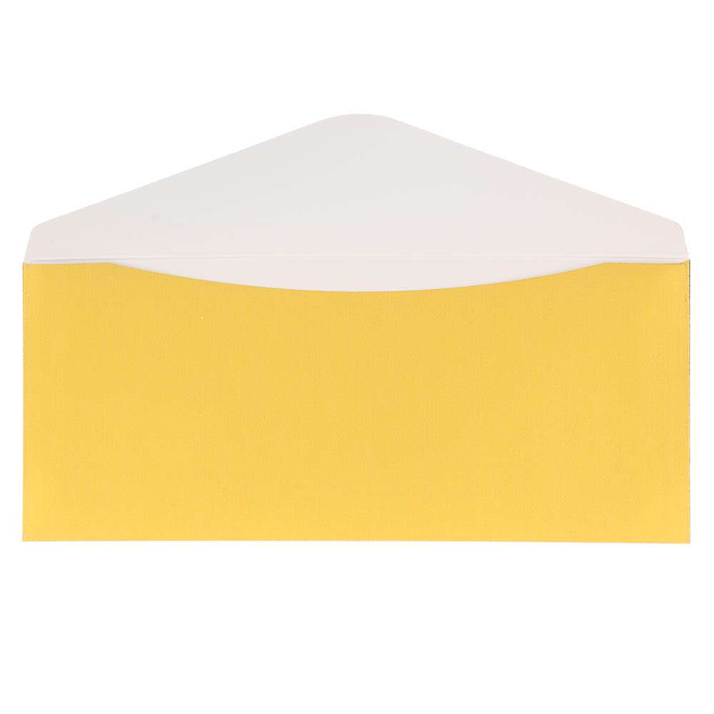 Набор конвертов 10 шт, микс цветов, 8х16,5см, бумага, арт.2, арт.№ 521-149