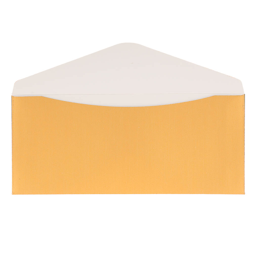 Набор конвертов 10 шт, микс цветов, 8х16,5см, бумага, арт.2, арт.№ 521-149