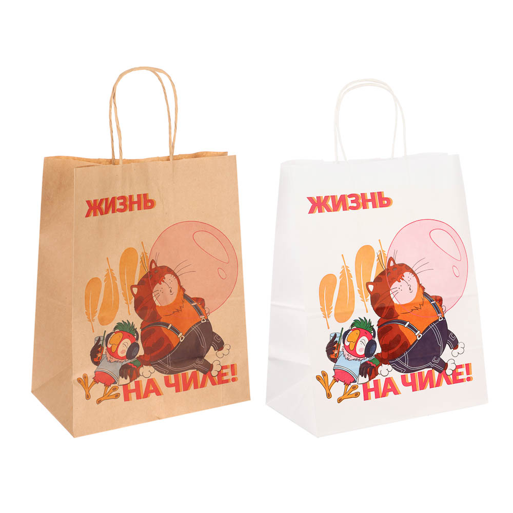 Пакет подарочный с кручеными ручками L 24х14х30см, "Попугай Кеша. На чиле", в ассортименте, арт.№ 507-497