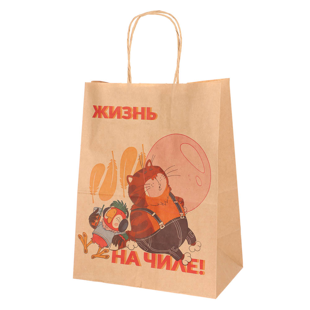 Пакет подарочный с кручеными ручками L 24х14х30см, "Попугай Кеша. На чиле", в ассортименте, арт.№ 507-497