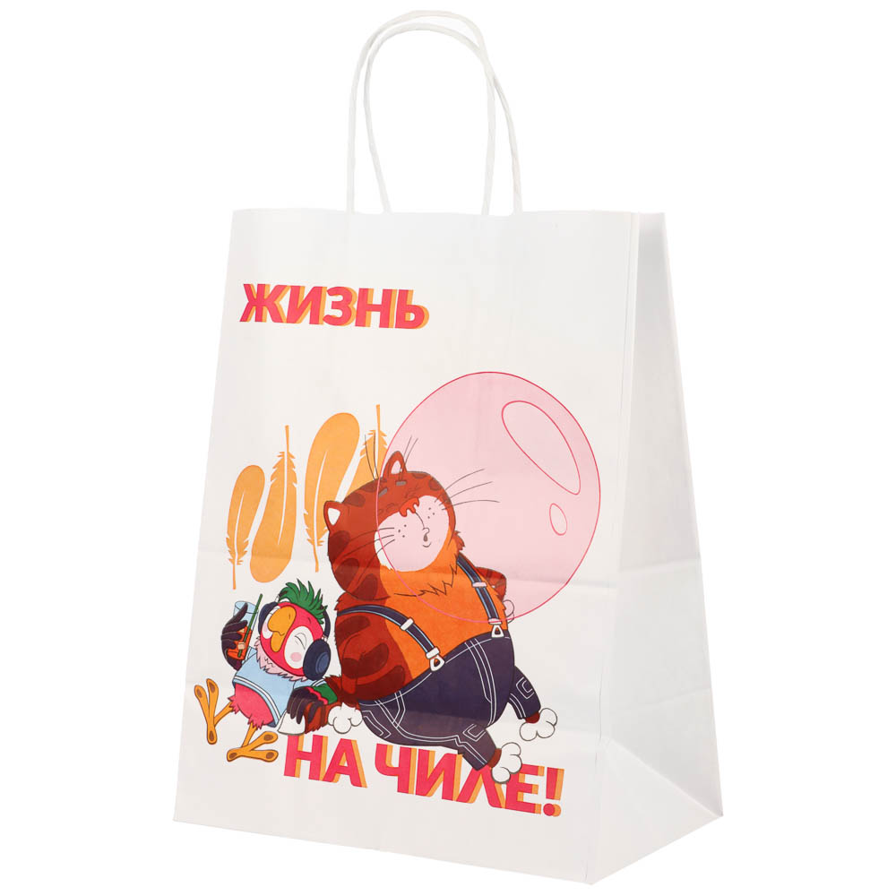 Пакет подарочный с кручеными ручками L 24х14х30см, "Попугай Кеша. На чиле", в ассортименте, арт.№ 507-497