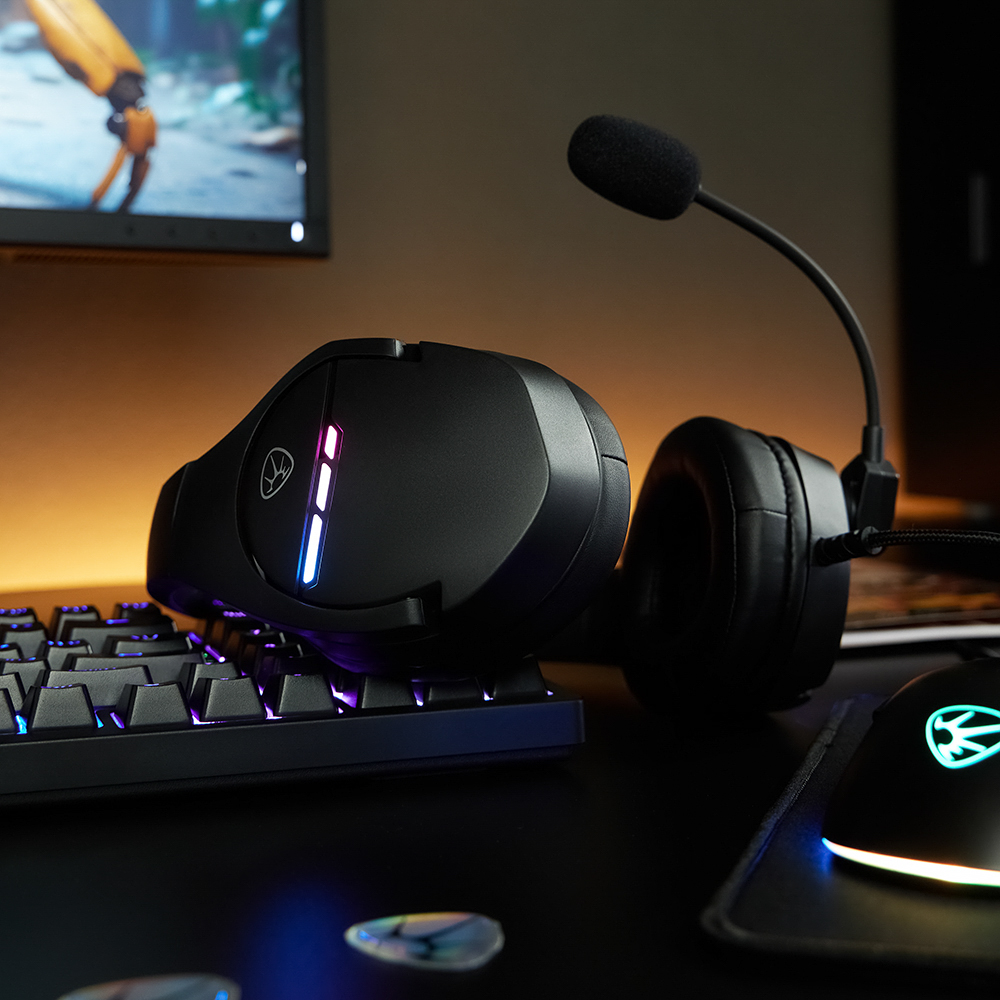 Наушники проводные с микрофоном игровые BY Dzingasa USB 3,2 м, VS7.1, настраиваемая RGB подсветка, арт.№ 410-090