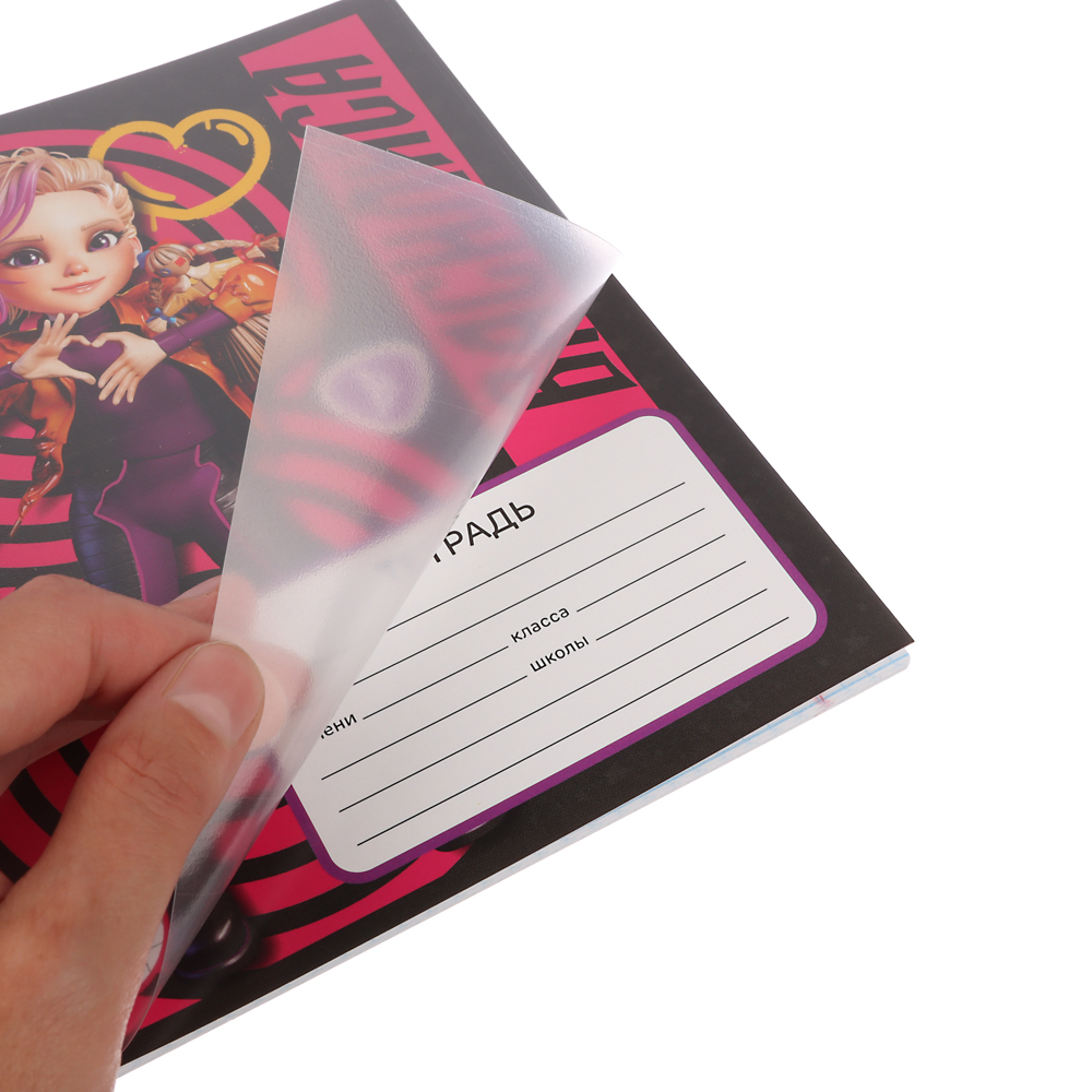 Тетрадь школьная 24 листа в клетку "Василиса" BY Русские Супергерои, офсет, обложка пластик, скрепка, 4 дизайна, арт.№ 801-061