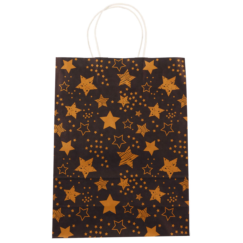 Пакет подарочный с кручеными ручками L 24x10,5x32 см, "Звездное сияние" внутри белый, арт.№ 507-510