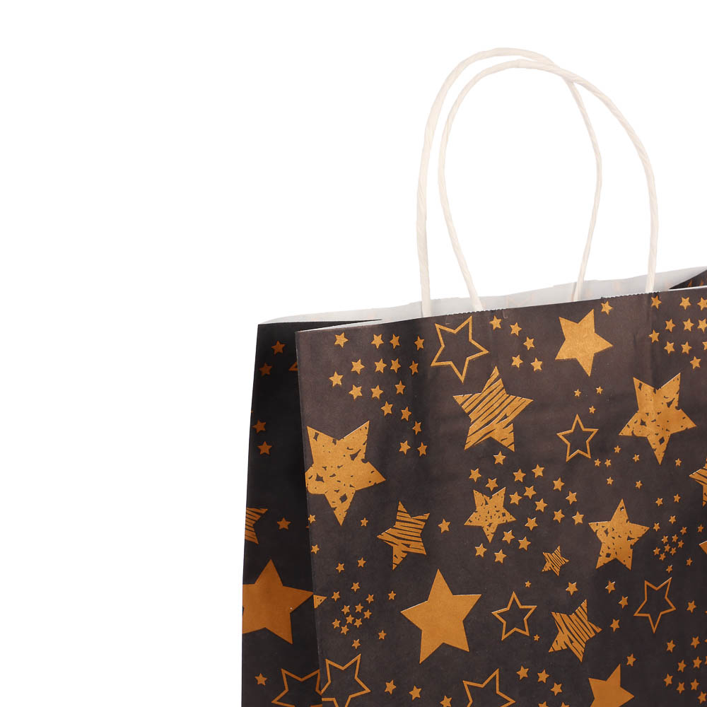 Пакет подарочный с кручеными ручками L 24x10,5x32 см, "Звездное сияние" внутри белый, арт.№ 507-510