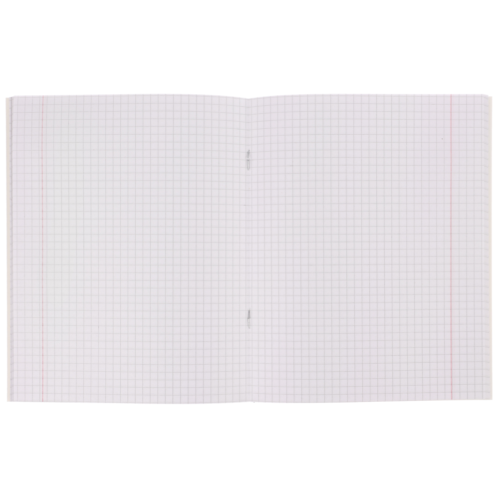 Тетрадь общая 48л. в клетку, БЕЛЫЕ ЛИСТЫ, обложка картон, скрепка, УФ лак, "Оптик/Статусы" 4 диз, арт.№ 578-161