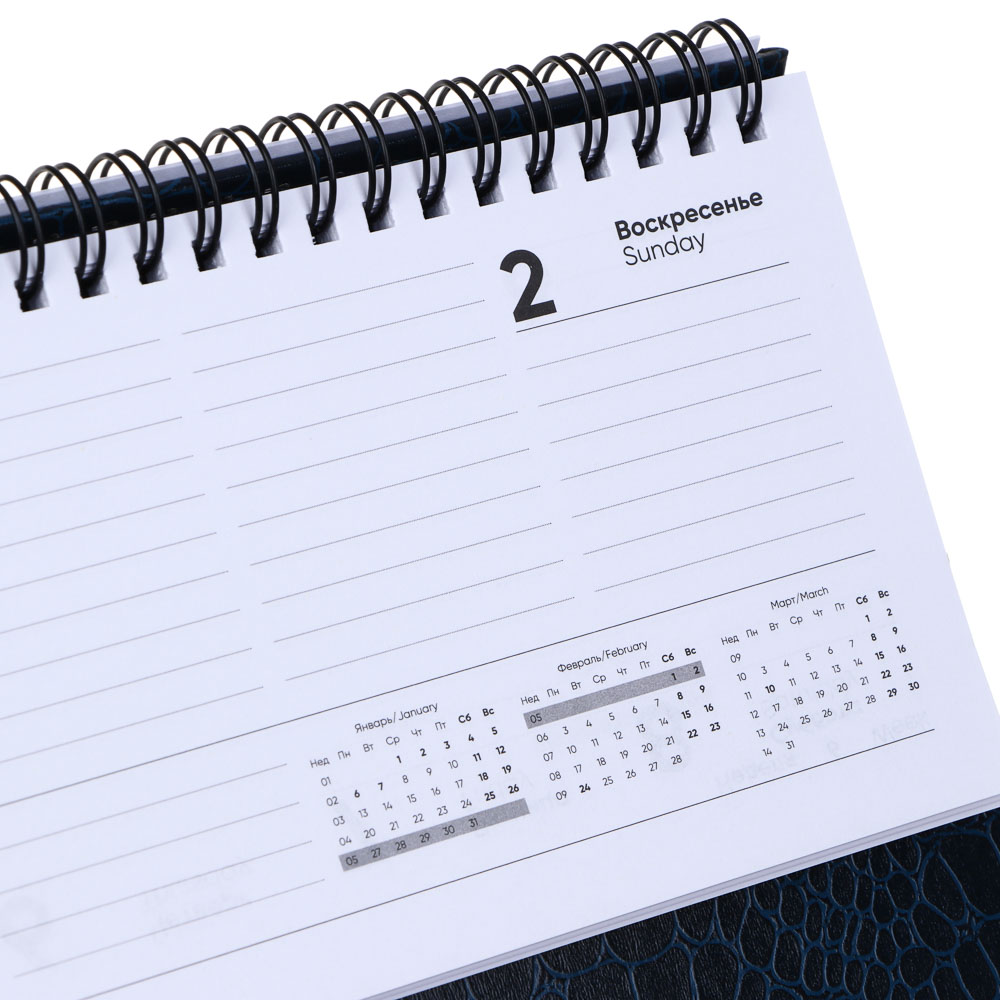 Планинг настольный 128 страниц на 2025 год "РЕПТИЛ", 31x14,5 см, твердая обложка, бумвинил под рептилию, 3 цвета, арт.№ 572-224