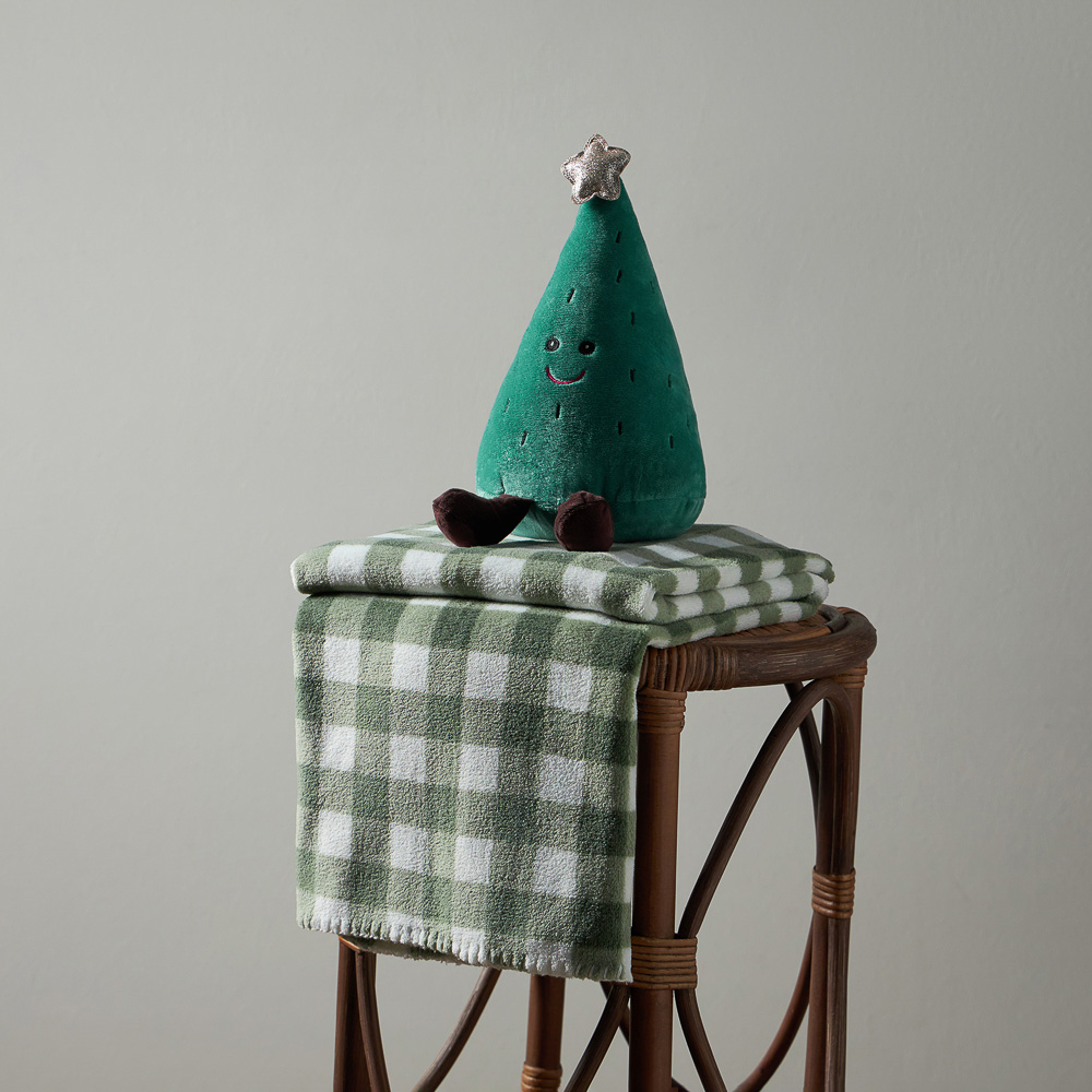 PROVANCE Фелиз Плед с сувениром, 75х90см, 100% полиэстер, зеленый, арт.№ 492-232